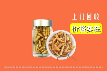 湘西州古丈回收散虫草