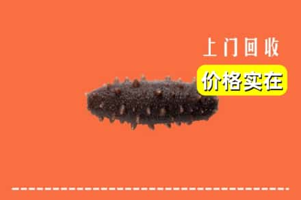 湘西州古丈回收海参