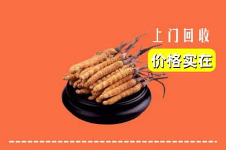 湘西州古丈回收冬虫夏草